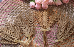 Stickdatei "FSL - Kornähren" --- Design Pack