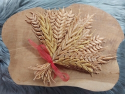 Stickdatei "FSL - Kornähren" --- Design Pack