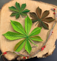 Stickdatei "FSL - Kastanienblätter" --- Design Pack