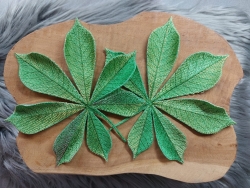 Stickdatei "FSL - Kastanienblätter" --- Design Pack