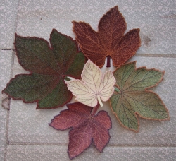 Stickdatei "FSL - Weinblätter" --- Design Pack