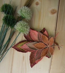 Stickdatei "FSL - wilder Wein " --- Design Pack