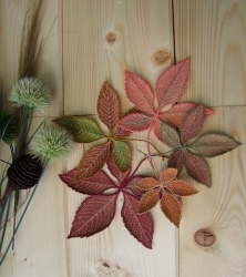 Stickdatei "FSL - wilder Wein " --- Design Pack