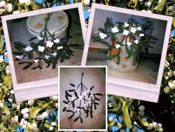 Stickdatei "FSL - Mistelzweig" --- Design Pack