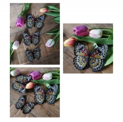 Stickdatei "FSL Schmetterling Cethosia Hypsea - Malaiische Florfliege" --- Design Pack