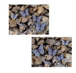 Stickdatei "FSL Schmetterling Cethosia Biblis - Bortenfalter" --- Design Pack