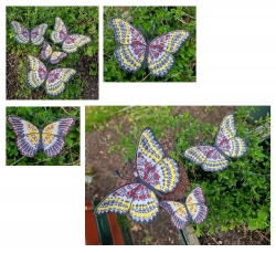 Stickdatei "FSL Schmetterling Cethosia Biblis - Bortenfalter" --- Design Pack