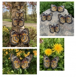 Stickdatei "FSL Schmetterling Cethosia Hypsea & Biblis" --- SUPER-Design Pack