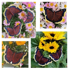 Stickdatei "FSL Schmetterling Trauermantel" --- Design Pack