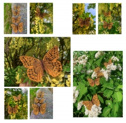 Stickdatei "FSL Kaisermantel" --- ca. 120 mm