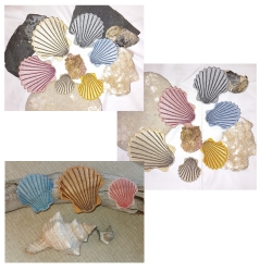 Stickdatei "FSL - Jakobsmuschel " --- Design Pack