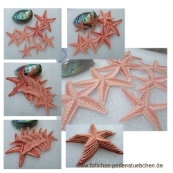 Stickdatei "FSL - Maritim-10x10 cm " --- SUPER-Design Pack
