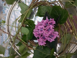 Stickdatei "FSL - 3D-Hortensie" --- Design Pack