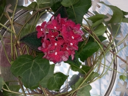 Stickdatei "FSL - 3D-Hortensie" --- Design Pack