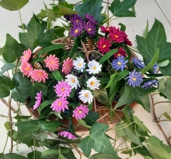 Stickdatei "FSL - 3D-Herbstaster" --- Design Pack