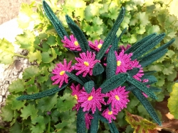 Stickdatei "FSL - 3D-Herbstaster" --- Design Pack