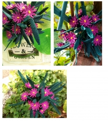 Stickdatei "FSL - 3D-Herbstaster" --- Design Pack