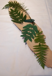 Stickdatei "FSL - Farn" --- Design Pack