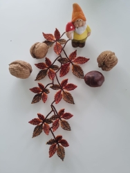 Stickdatei "FSL - Weinranke-2" wilder Wein--- Design Pack