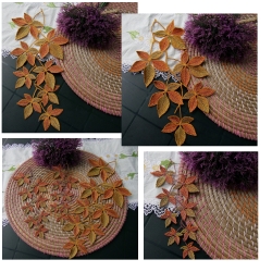 Stickdatei "FSL - Weinranke-1+2" --- SUPER-Design Pack