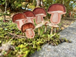 Stickdatei "Vollstick - Marone-Stabdesign" --- Design Pack