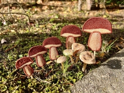 Stickdatei "FSL/ITH - Marone-Stabdesign" --- Design Pack