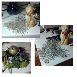 Stickdatei "FSL - Calocephalus" --- Design Pack