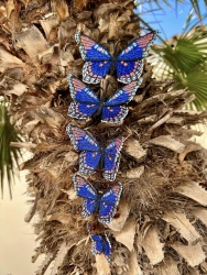 Stickdatei "FSL & ITH - Schmetterling Limenitis Arthemis Arizonensis" --- Design Pack