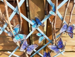 Stickdatei "FSL & ITH - Schmetterling Limenitis Arthemis Arizonensis" --- Design Pack