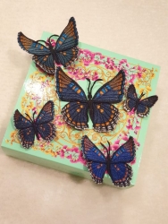 Stickdatei "FSL & ITH - Schmetterling Limenitis Arthemis Arizonensis" --- Design Pack