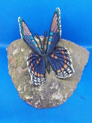 Stickdatei "FSL & ITH - Limenitis Arthemis Arizonensis" --- ca. 140 mm