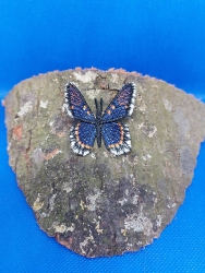 Stickdatei "FSL & ITH - Limenitis Arthemis Arizonensis" --- ca. 60 mm