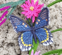 Stickdatei "FSL & ITH - Limenitis Arthemis Arizonensis" --- ca. 60 mm