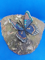 Stickdatei "FSL & ITH - Limenitis Arthemis Arizonensis" --- ca. 100 mm