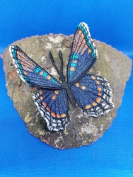Stickdatei "FSL & ITH - Limenitis Arthemis Arizonensis" --- ca. 120 mm