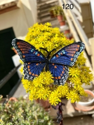 Stickdatei "FSL & ITH - Limenitis Arthemis Arizonensis" --- ca. 120 mm