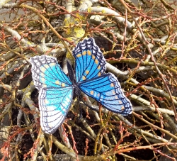 Stickdatei "FSL & ITH - Limenitis Arthemis Arizonensis" --- ca. 120 mm