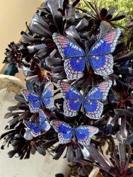 Stickdatei "FSL & ITH - Limenitis Arthemis Arizonensis" --- ca. 120 mm