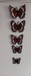 Stickdatei "FSL - Schmetterling Limenitis Arthemis White Admiral" --- Design Pack