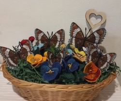 Stickdatei "FSL - Schmetterling Limenitis Arthemis White Admiral" --- Design Pack