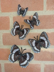 Stickdatei "FSL - Schmetterling Limenitis Arthemis White Admiral" --- Design Pack