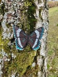 Stickdatei "FSL - Schmetterling Limenitis Arthemis White Admiral" --- ca. 140 mm