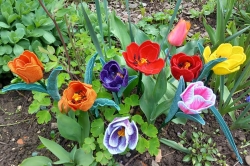 Stickdatei "FSL - 3D-Tulpe" --- Design Pack