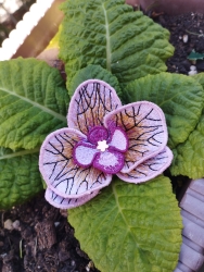 Stickdatei "FSL - Topper-Orchidee" ca. 80 mm