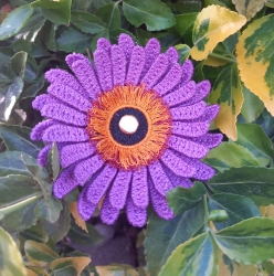 Stickdatei "FSL - Topper-Gerbera"