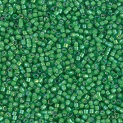 6g Miyuki Delica Beads DB-1787