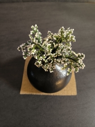 Stickdatei "FSL - 3D-Schleierkraut-NEU" --- Design Pack