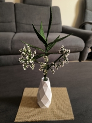 Stickdatei "FSL - 3D-Schleierkraut-NEU" --- Design Pack