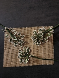 Stickdatei "FSL - 3D-Schleierkraut-NEU" --- Design Pack