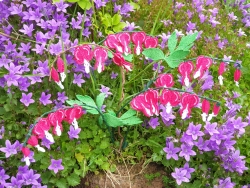 Stickdatei "FSL - 3D-Tränendes Herz" --- Design Pack